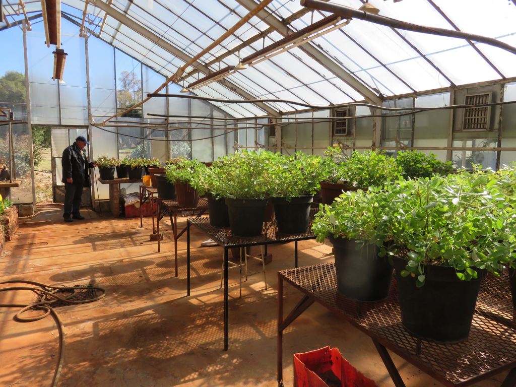 Potchefstroom agricultural college 02